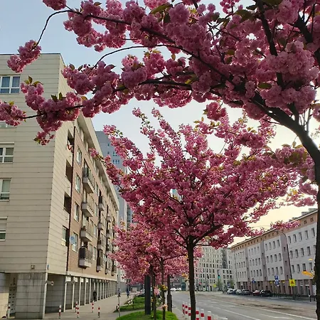 Homestay szállás Totutotam