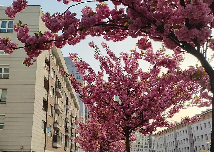 Homestay szállás Totutotam